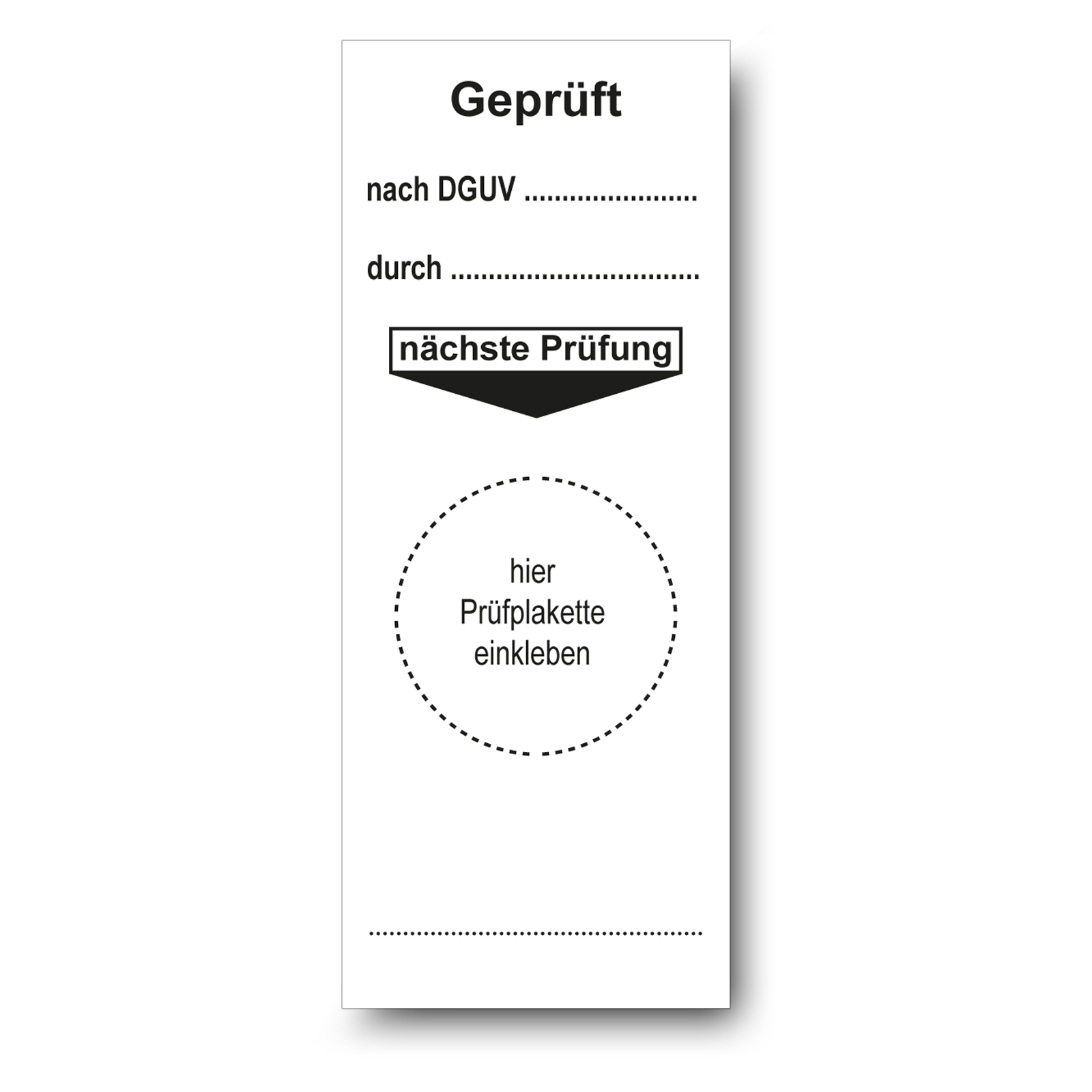 Grundplakette weiß 40 x 100 mm "Geprüft nach DGUV, durch, nächste Prüfung"