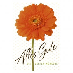 Get Allgemeine glueckwuensche HD