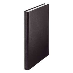 Leitz 4209 Standard Ringbuch, 2 Ringe - A4, Ring-Ø 16 mm, schwarz
