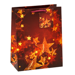 TSI 12er Pack Geschenktüte Weihnachten mittel