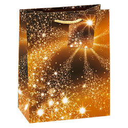 TSI 12er Pack Geschenktüte Weihnachten mittel