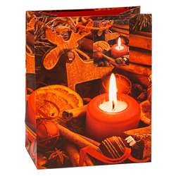 TSI 12er Pack Geschenktüte Weihnachten mittel