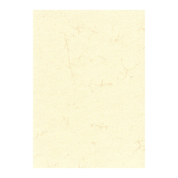 RNK Verlag Dokumentenpapier (Elefantenhautpapier), 110g/m², DIN A4, Pack á 100 Blatt
