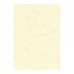RNK Verlag Dokumentenpapier (Elefantenhautpapier), 110g/m², DIN A4, Pack á 100 Blatt