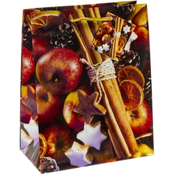 TSI 12er Pack Geschenktüte mittel ca. 18 x 10 x 23 cm Weihnachten SERIE 7