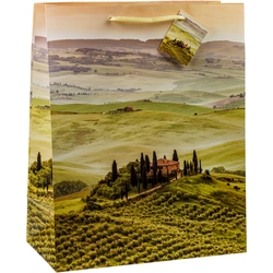 TSI 12er Pack Geschenktüte mittel ca. 18 x 10 x 23 cm TOSKANA