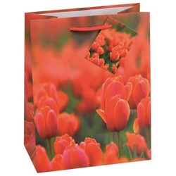 TSI 12er Pack Geschenktüte groß ca. 26 x 13,5 x 32 cm FRÜHLING 15