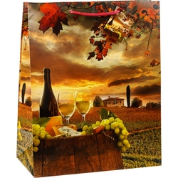 TSI 12er Pack Geschenktüte groß ca. 26 x 13,5 x 32 cm TOSKANA