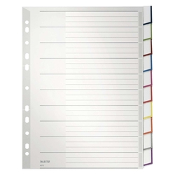 Leitz 4370 Register - PP, blanko, A4 Überbreite, 10 Blatt, grau
