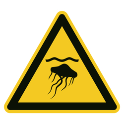 Warnzeichen Warnung vor Quallen DIN EN ISO 7010 W069