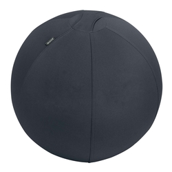 LEITZ Sitzball Active - Ø 55 cm, samtgrau