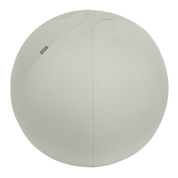 LEITZ Sitzball Active - Ø 65 cm, hellgrau