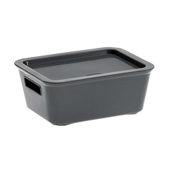CEP Aufbewahrungsbox Bella M - 1,18 L  anthrazit