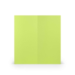 RÖSSLER Briefkarte Paperado - DL, 220 g/qm, doppelt, hoch, planliegend, maigrün gerippt