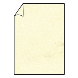 RÖSSLER Briefbogen Paperado - A4, 100 g/qm, chamois marmora