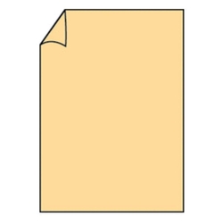 RÖSSLER Briefbogen Paperado - A4, 100 g/qm, melon gerippt