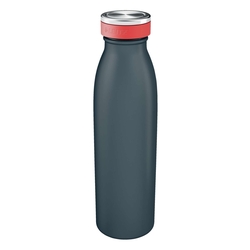 LEITZ Trinkflasche Cosy - 500 ml, grau