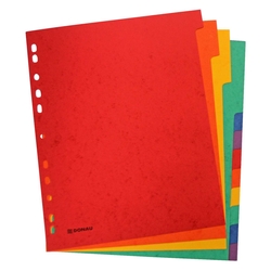 DONAU Register - blanko, Karton, A4 ÜB, 12 Blatt, 6-farbig