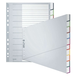 LEITZ Plastikregister Blanko, A4, schräg, PP, 10 Blatt, grau