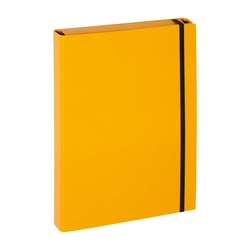 PAGNA Sammelbox Basic - A4, Gummizug, Karton, gelb