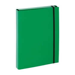 PAGNA Sammelbox Basic - A4, Gummizug, Karton, grün