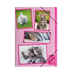 PAGNA Gummizugmappe xoxo Cats - A4, 3 Einschlagklappen, PP
