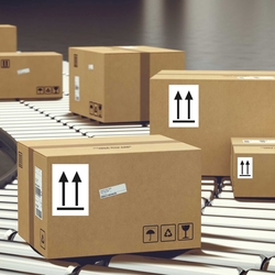 Gefahrzettel, Verpackungskennzeichen Ausrichtungspfeile Oben, Weiß, Pfeile Schwarz, Folie, 105 x 148 mm, 500 Stück/Rolle