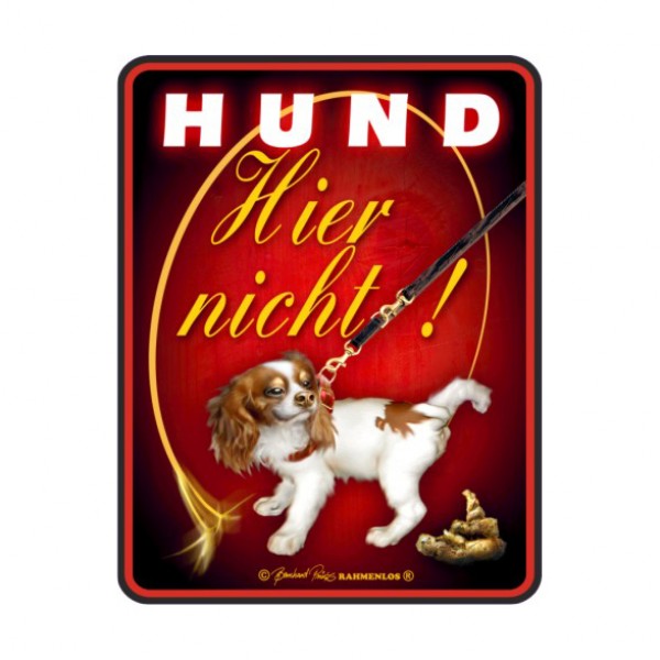 Blechschild mit Motiv/Spruch "Hund hier nicht", 7,97