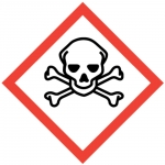 GHS-Symbol 06 Totenkopf mit gekreuzten Knochen - akute Toxizität 250 mm x 250 mm Einzeletikett