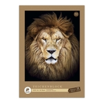 Staufen® Edition Dürer® Zeichenblock perforiert - A3, 20 Blatt, 100g/qm, 4 Motive sortiert