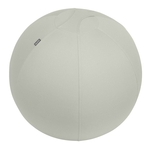 LEITZ Sitzball Active - Ø 65 cm, hellgrau