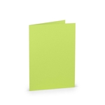 RÖSSLER Briefkarte Paperado - B6, 220 g/qm, doppelt, hoch, maigrün gerippt