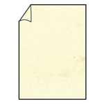 RÖSSLER Briefbogen Paperado - A4, 100 g/qm, chamois marmora