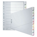 LEITZ Plastikregister Blanko, A4, schräg, PP, 10 Blatt, grau