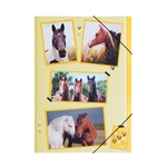 PAGNA Gummizugmappe xoxo Horse - A4, 3 Einschlagklappen, PP