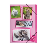 PAGNA Gummizugmappe xoxo Cats - A4, 3 Einschlagklappen, PP