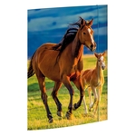 RNK Zeichenmappe Free Horses - A3, 3 Klappen mit Gummizug, Karton